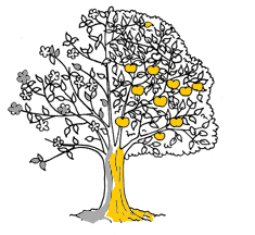 Zeichnung eines Baumes